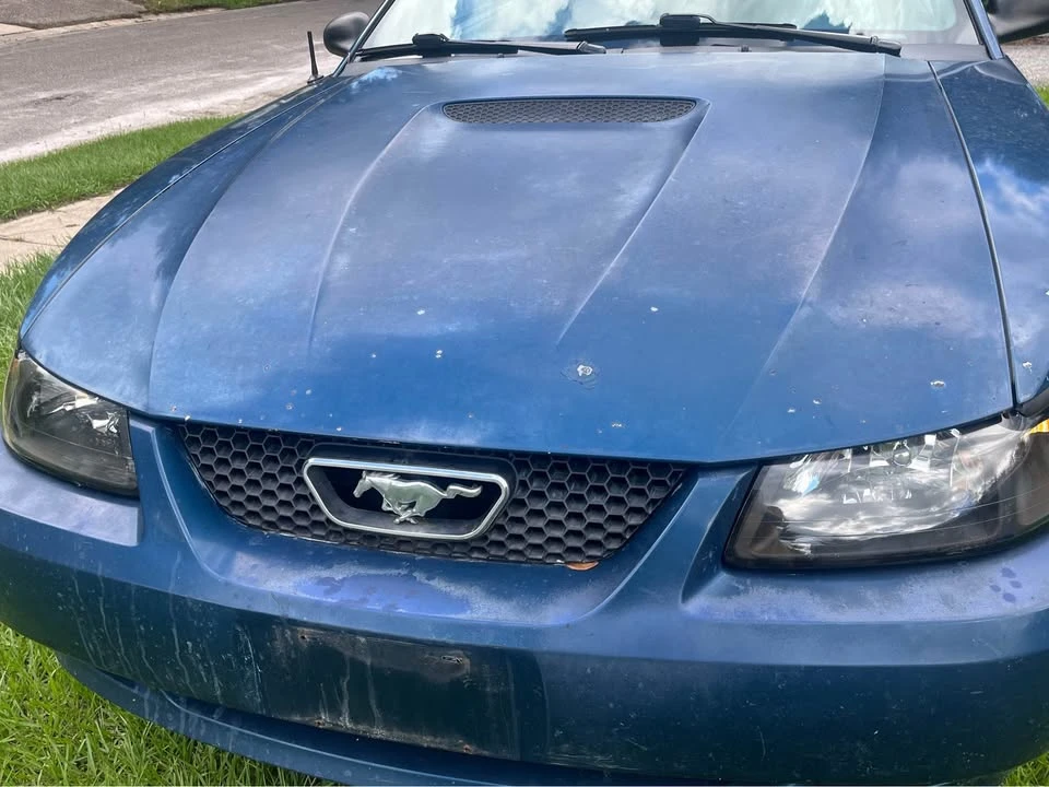 2000 Ford SN95 Mustang - Image 2 of 13