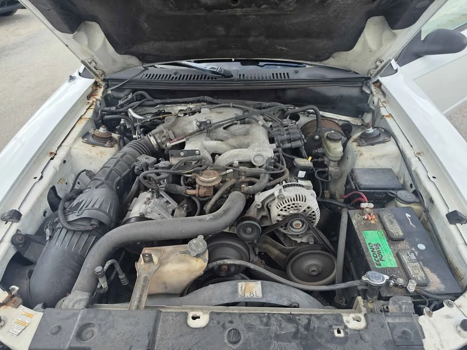 2000 Ford SN95 Mustang - Image 6 of 7