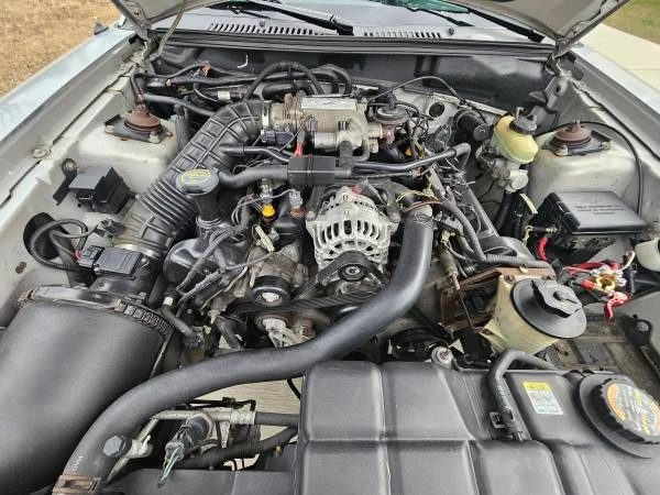 2000 Ford SN95 Mustang - Image 11 of 14