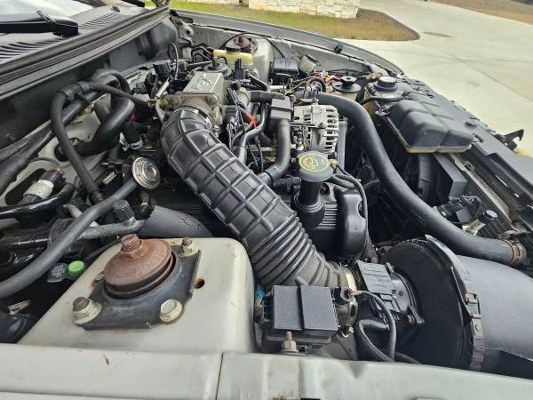 2000 Ford SN95 Mustang - Image 13 of 14