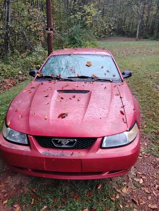 2000 Ford SN95 Mustang - Image 3 of 7