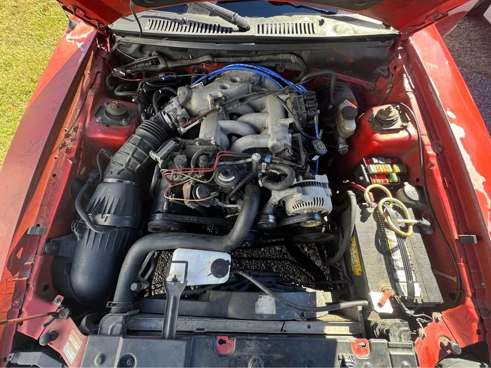 2000 Ford SN95 Mustang - Image 13 of 14