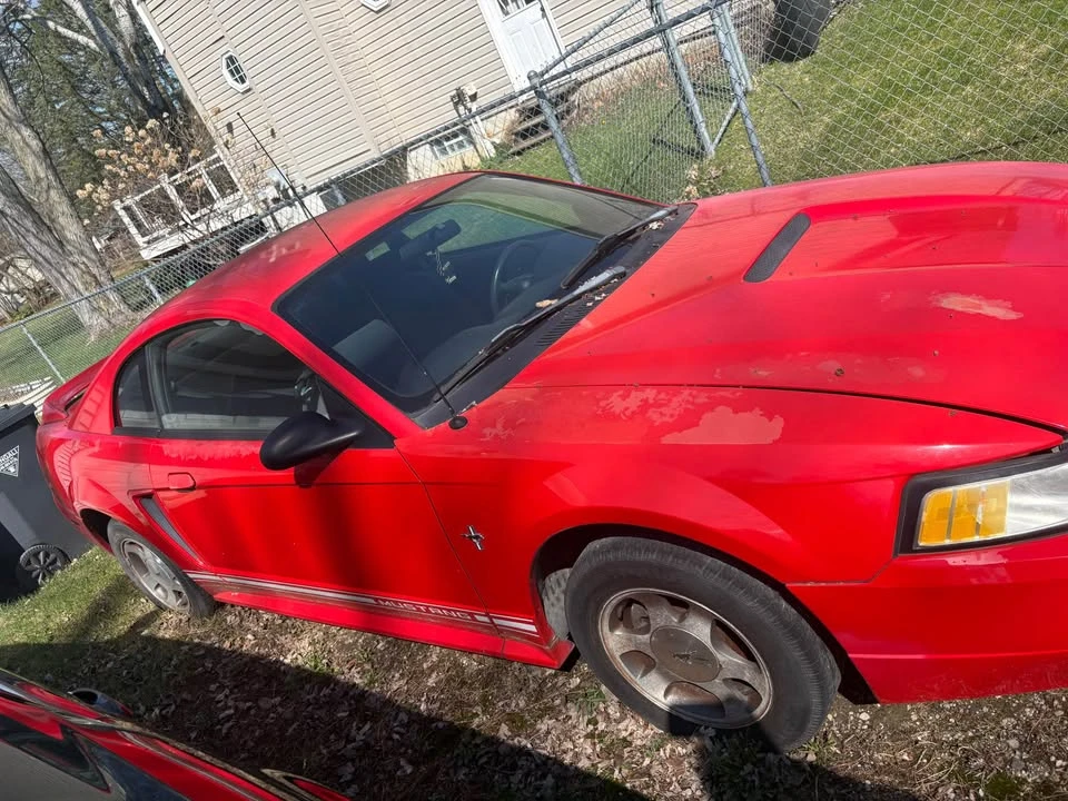 2000 Ford SN95 Mustang - Image 5 of 10