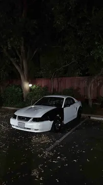 2000 Ford Mustang Coupe 2D