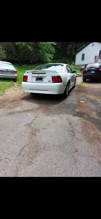 2000 Ford SN95 Mustang - Image 4 of 4