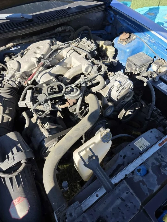 2000 Ford SN95 Mustang - Image 3 of 6