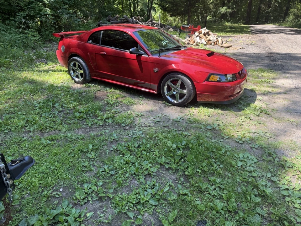 2000 Ford SN95 Mustang - Image 8 of 13