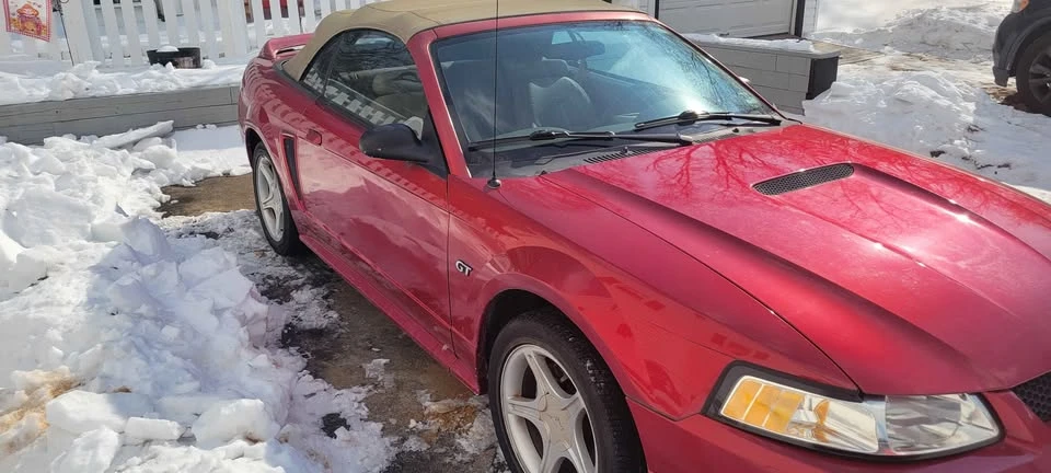 2000 Ford SN95 Mustang - Image 2 of 8
