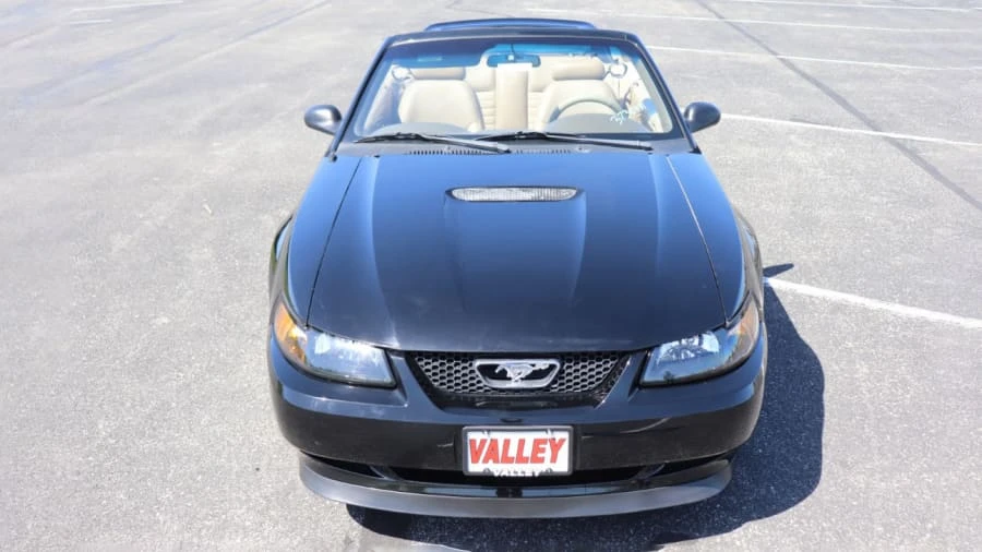 2000 Ford SN95 Mustang - Image 18 of 20
