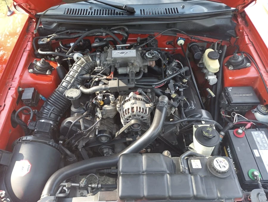 2000 Ford SN95 Mustang - Image 24 of 26