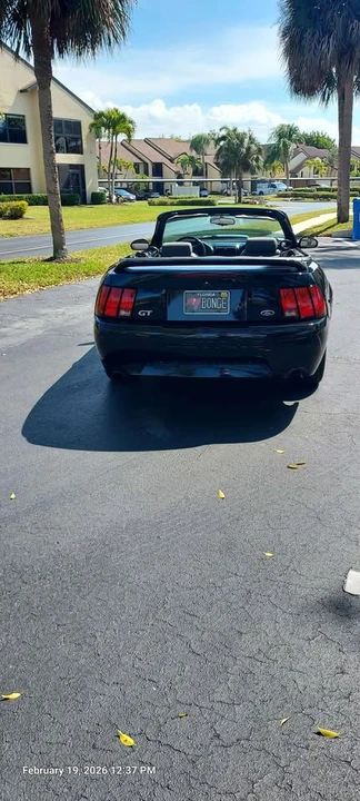 2000 Ford SN95 Mustang - Image 15 of 16