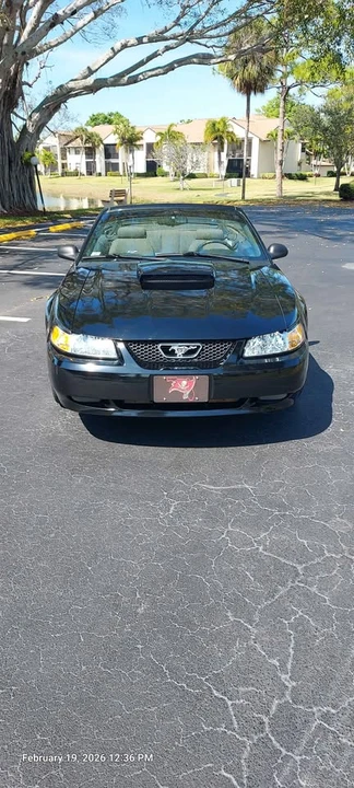 2000 Ford SN95 Mustang - Image 14 of 16