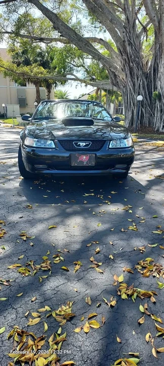 2000 Ford SN95 Mustang - Image 6 of 16