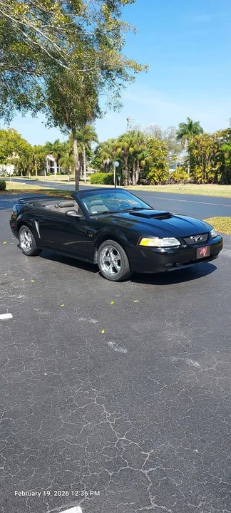 2000 Ford SN95 Mustang - Image 11 of 16