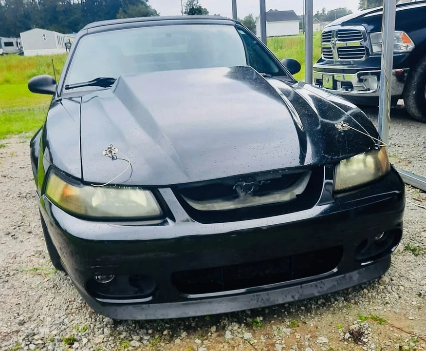 2000 Ford SN95 Mustang - Image 5 of 14