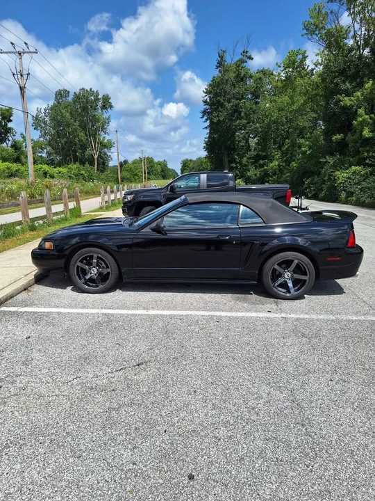 2000 Ford SN95 Mustang - Image 7 of 8