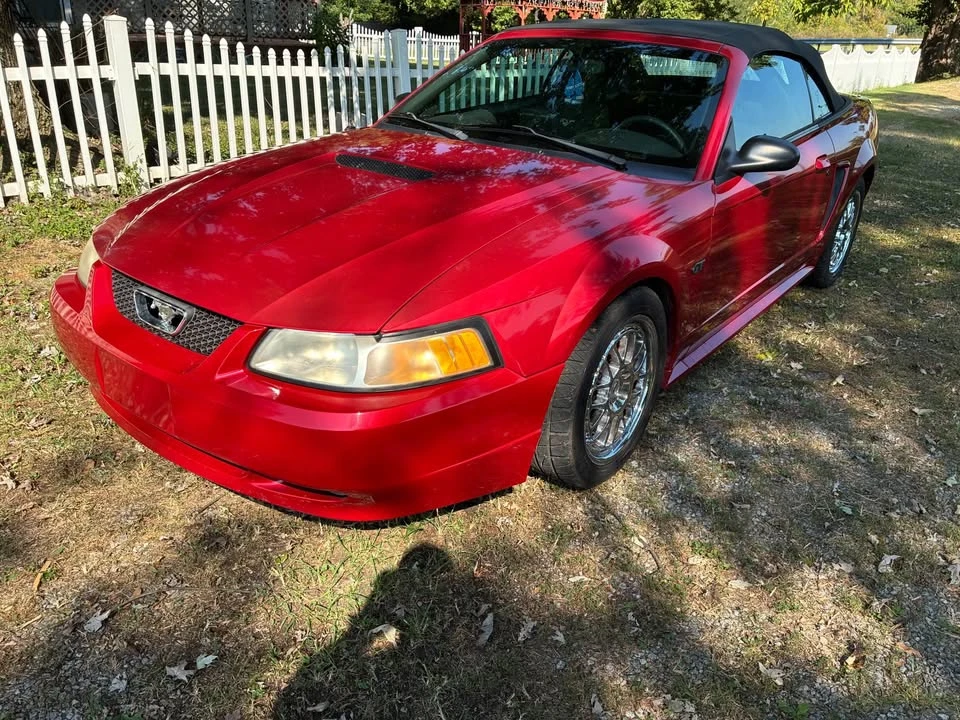 2000 Ford SN95 Mustang - Image 2 of 15