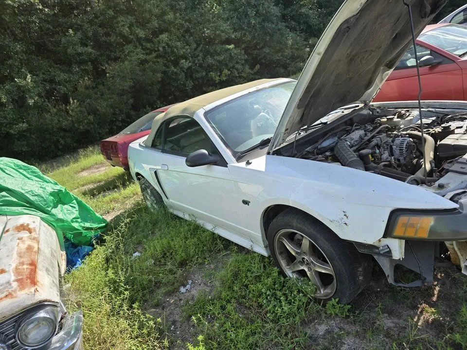 2000 Ford SN95 Mustang - Image 3 of 3