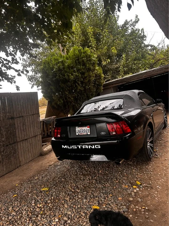 2000 Ford SN95 Mustang - Image 8 of 11
