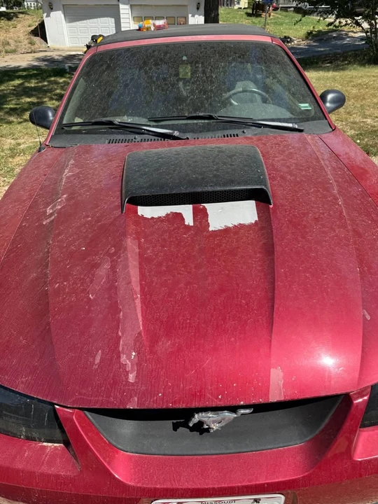 2000 Ford SN95 Mustang - Image 5 of 13