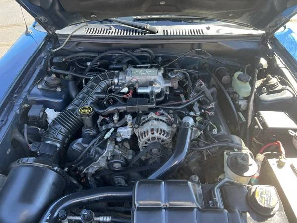 2000 Ford SN95 Mustang - Image 7 of 13