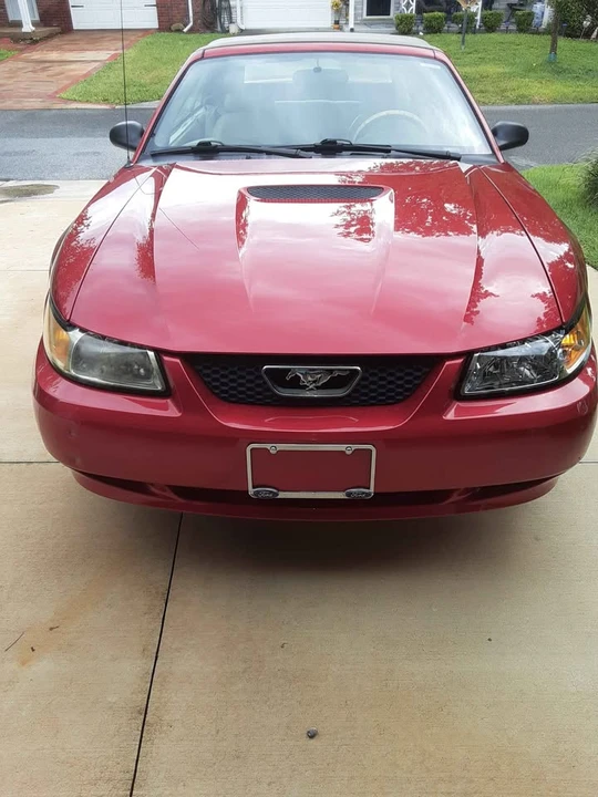 2000 Ford SN95 Mustang - Image 10 of 10
