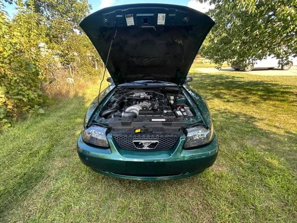 2000 Ford SN95 Mustang - Image 10 of 11
