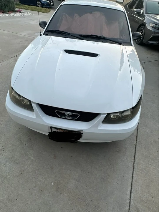 2000 Ford SN95 Mustang - Image 12 of 12