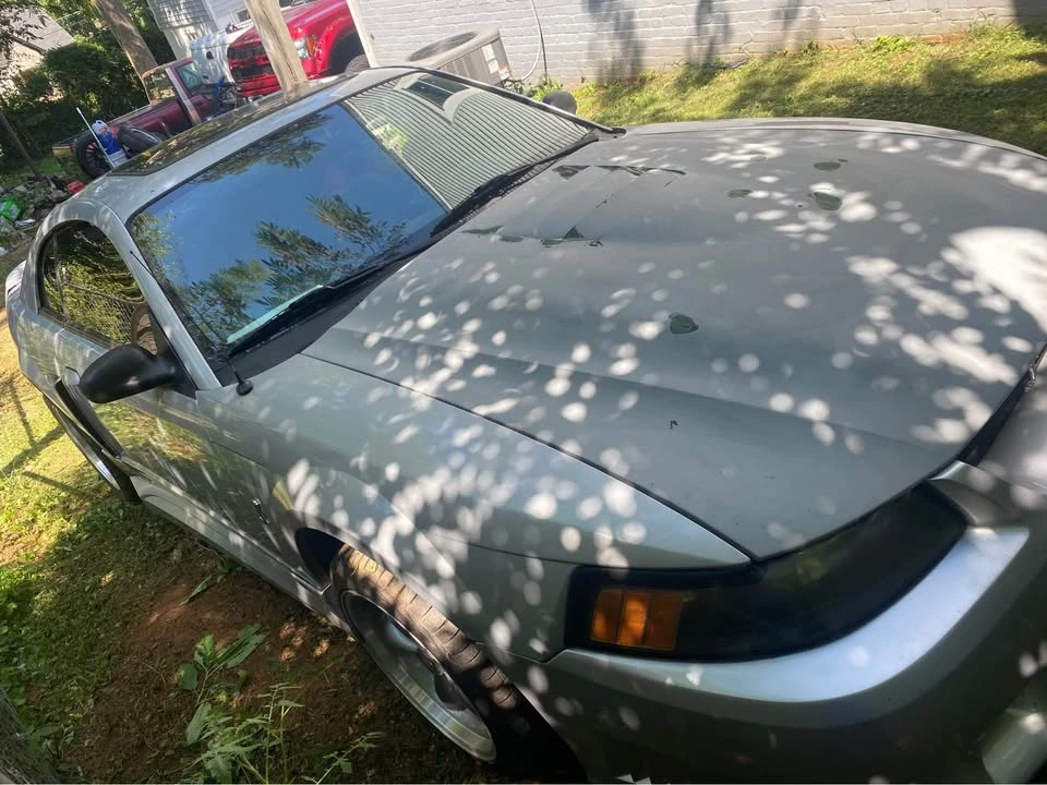 2000 Ford SN95 Mustang - Image 9 of 10