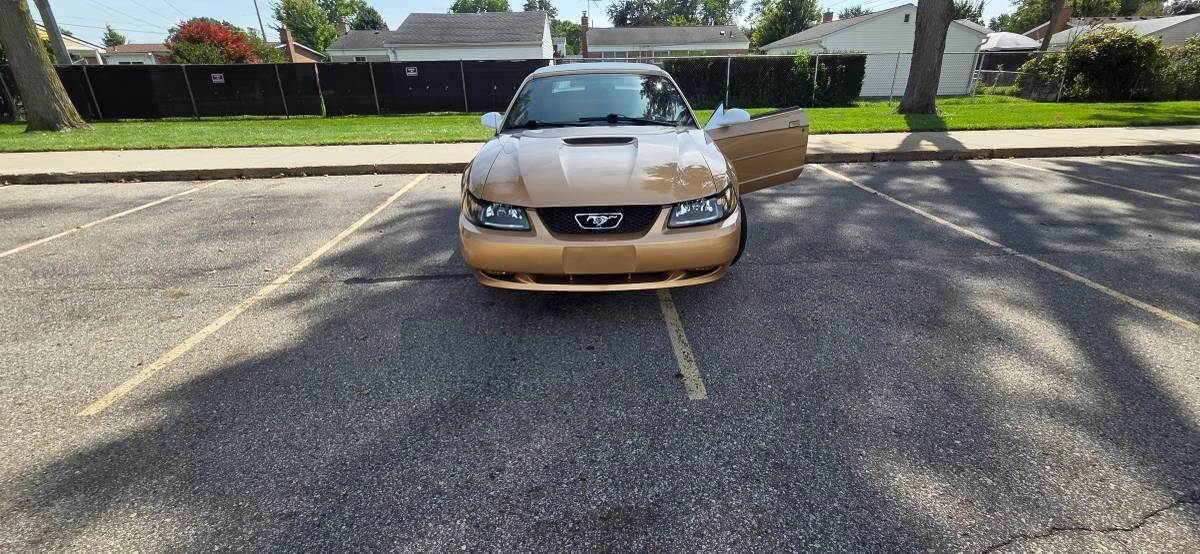 2000 Ford SN95 Mustang - Image 3 of 13