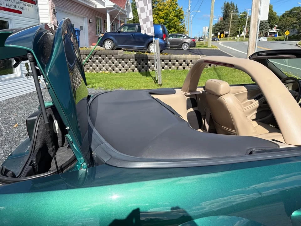 2000 Ford SN95 Mustang - Image 12 of 20
