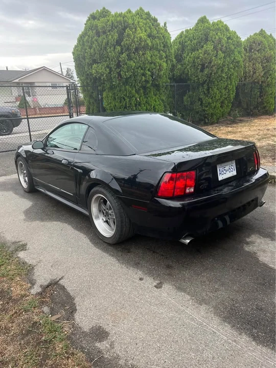 2000 Ford SN95 Mustang - Image 5 of 9