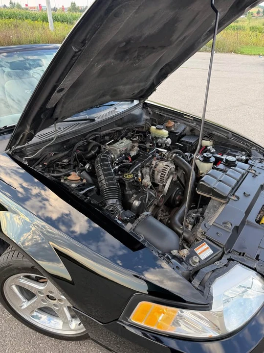 2000 Ford SN95 Mustang - Image 19 of 20