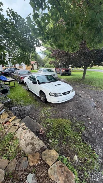 2000 Ford SN95 Mustang - Image 2 of 4