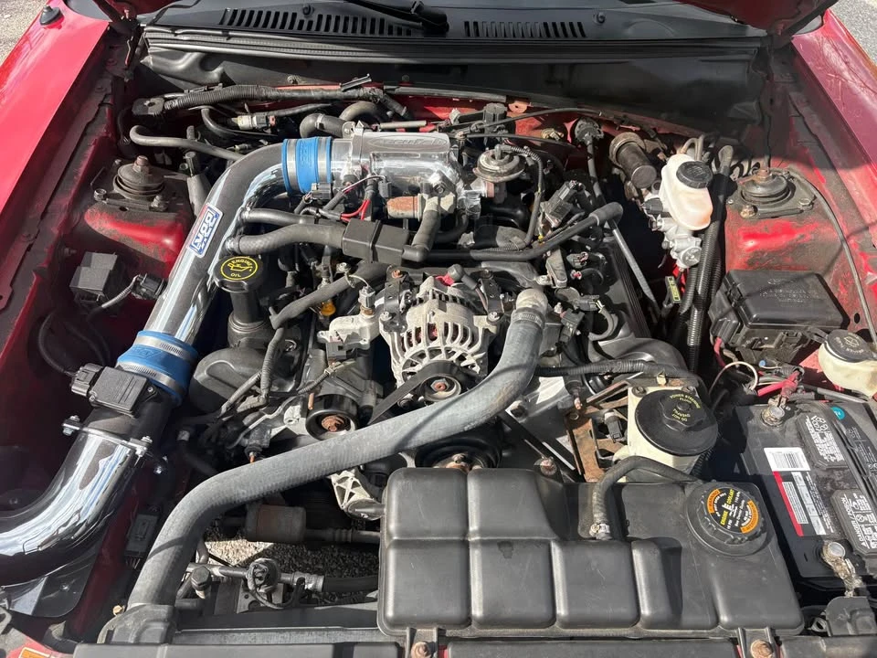 2000 Ford SN95 Mustang - Image 10 of 10