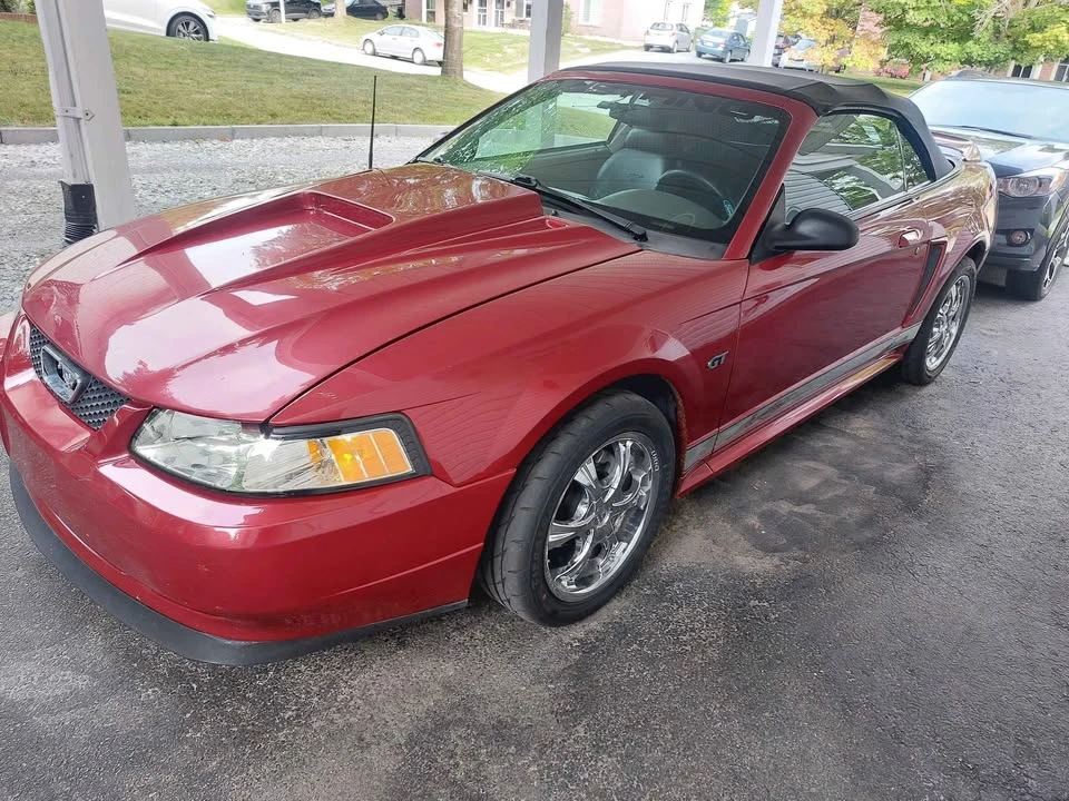 2000 Ford SN95 Mustang - Image 2 of 7