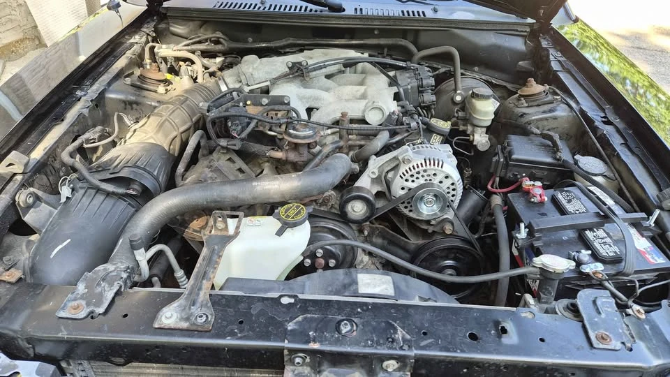 2000 Ford SN95 Mustang - Image 9 of 9