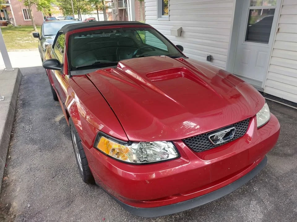 2000 Ford SN95 Mustang - Image 7 of 7