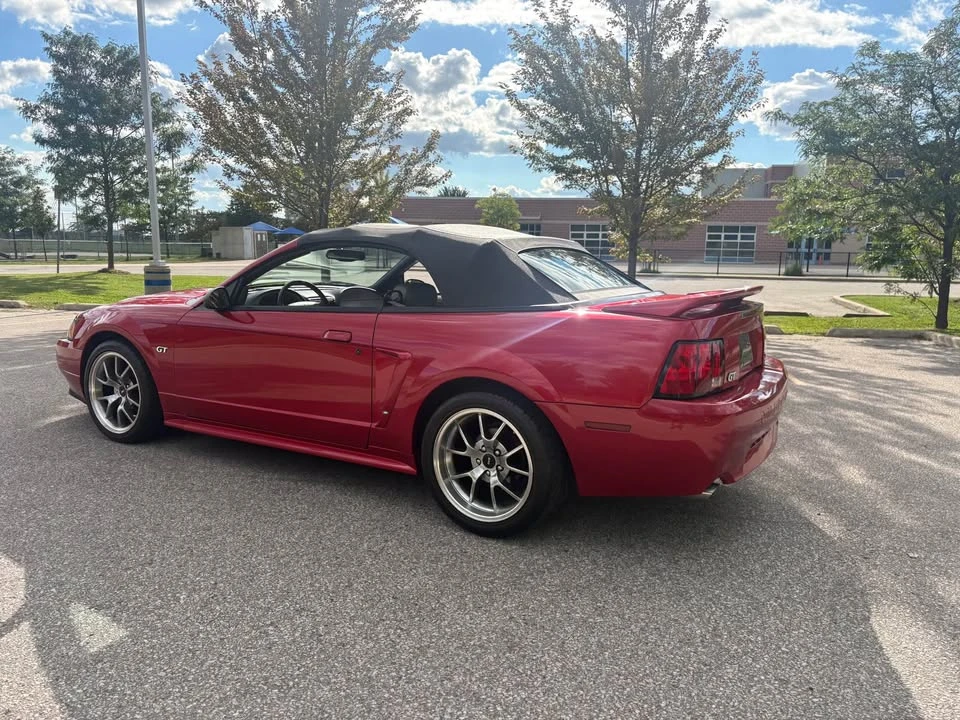2000 Ford SN95 Mustang - Image 6 of 14