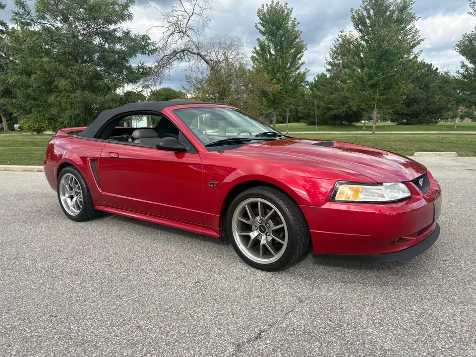 2000 Ford SN95 Mustang - Image 10 of 14