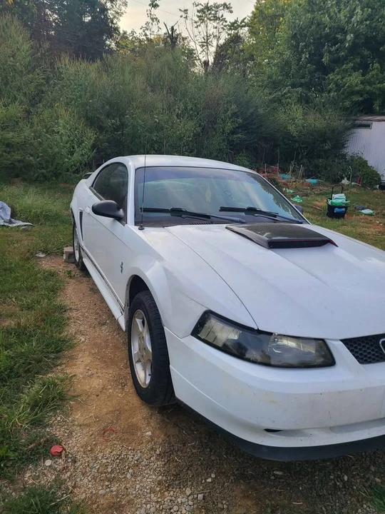 2000 Ford SN95 Mustang - Image 3 of 8