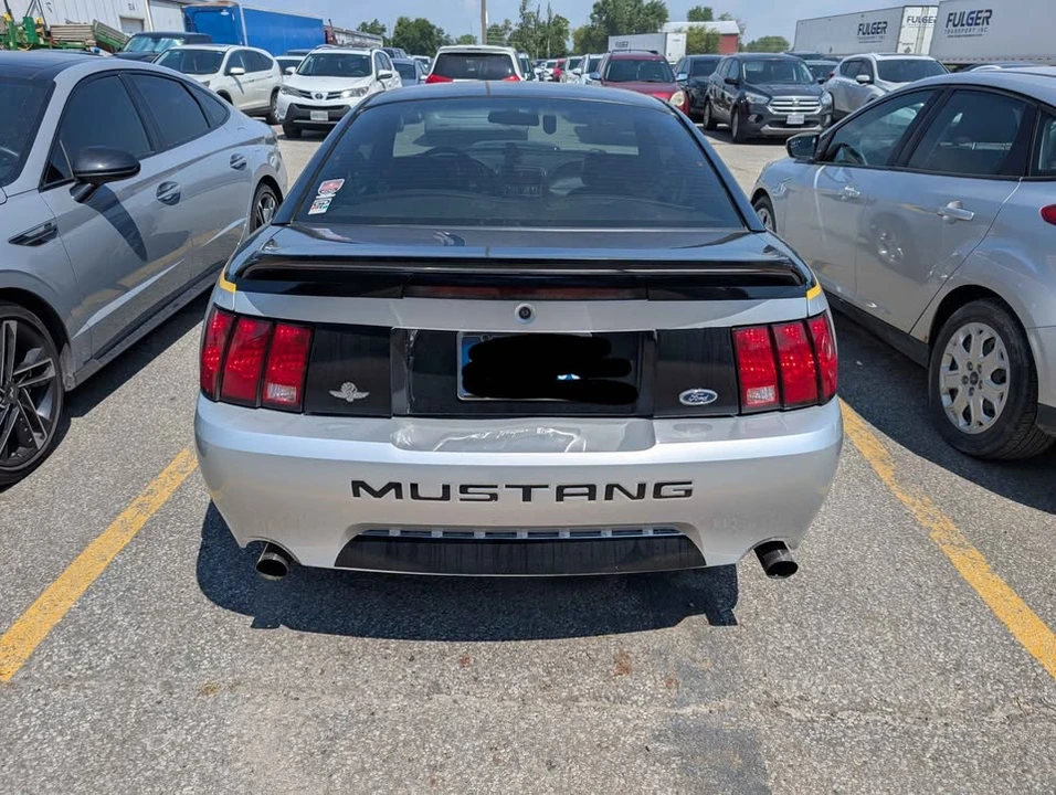 2000 Ford SN95 Mustang - Image 2 of 10