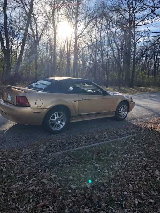 2000 Ford SN95 Mustang - Image 5 of 7