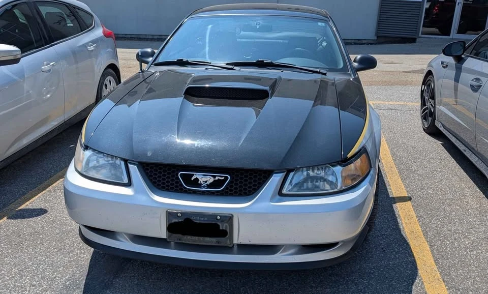 2000 Ford SN95 Mustang - Image 4 of 10