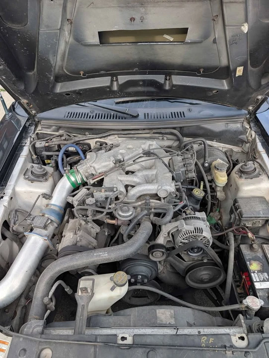 2000 Ford SN95 Mustang - Image 3 of 10