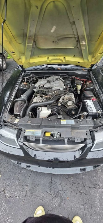 2000 Ford SN95 Mustang - Image 14 of 16