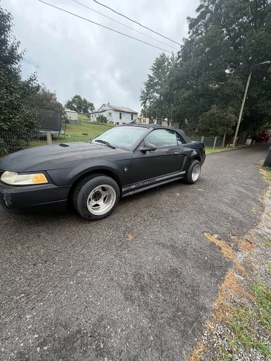 2000 Ford SN95 Mustang - Image 11 of 12