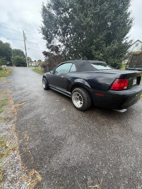 2000 Ford SN95 Mustang - Image 10 of 12