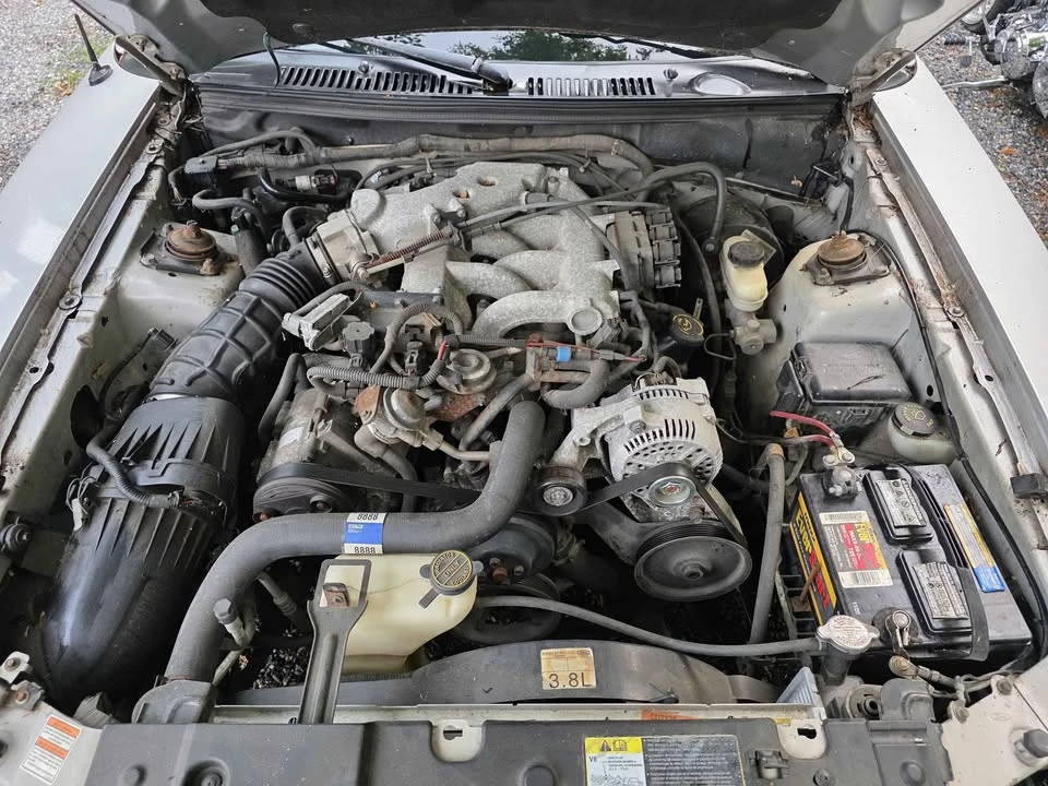 2000 Ford SN95 Mustang - Image 7 of 11