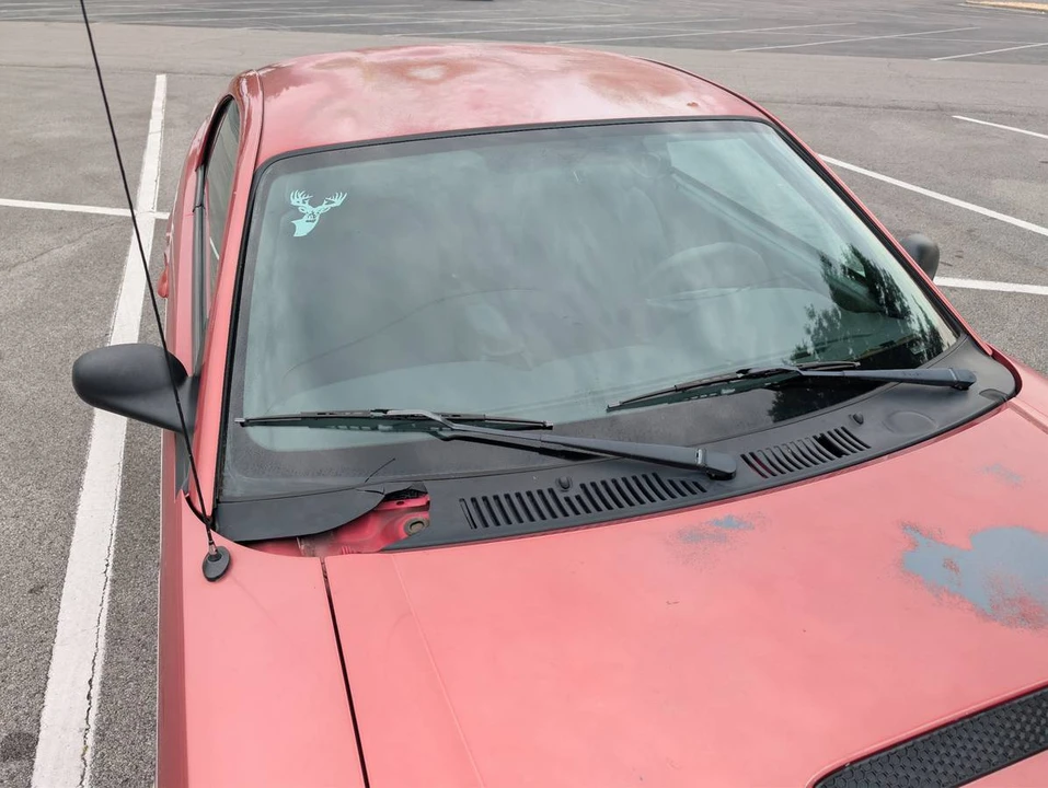 2000 Ford SN95 Mustang - Image 20 of 24